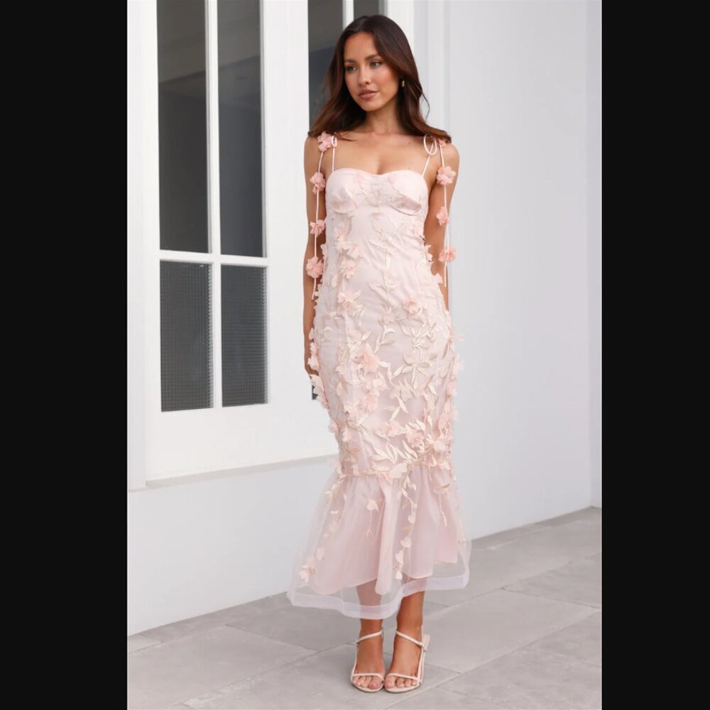 Hello Molly Enchanted Dream Blush Pink Midi Dress XL NWT - Picture 3 of 9